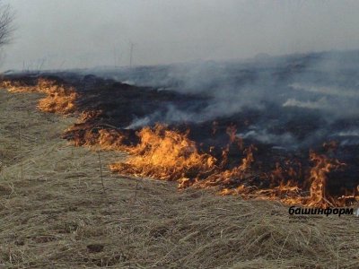 В Башкирии за прошедшие стуки зарегистрировано три случая горения сухой травы