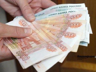 В Башкирии значительно сократилось число организаций-должников по зарплате