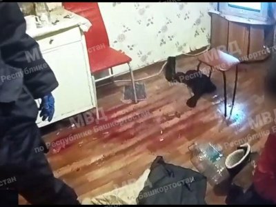 Житель Башкирии несколько раз ударил жену по голове кухонным молотком и лег спать