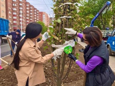 В рамках акции «Зеленая Башкирия» в районах Уфы высадят новые аллеи
