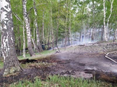 В Башкирии сгорели 38 гектаров леса