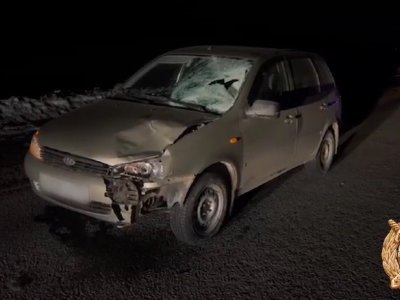 В Башкирии пожилой водитель погубил пешехода