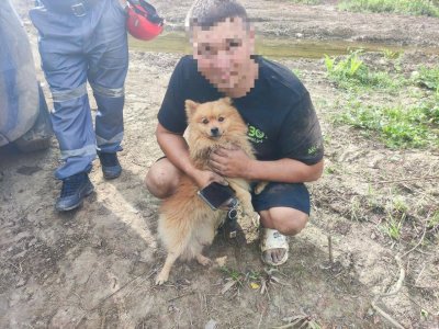 В Башкирии турист со своей собакой застряли на Розовых скалах