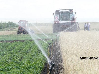 Башкирия экспортирует сельскохозяйственную продукцию в 44 страны мира