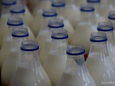 Закупочная цена молока выросла за год на 6% — Молочный союз Башкирии