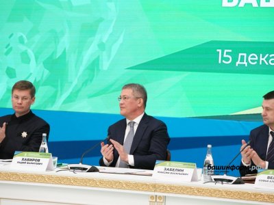 Руслан Хабибов: Совет по физкультуре и спорту при Главе Башкирии дал мощный импульс развитию отрасли