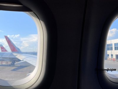 У самолета Уфа — Москва обнаружили пять поврежденных лопаток вентилятора