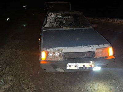 В Башкирии водитель сбил насмерть идущую по обочине женщину