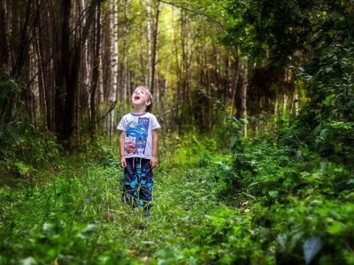 В Башкирии девятилетний мальчик потерялся в лесу