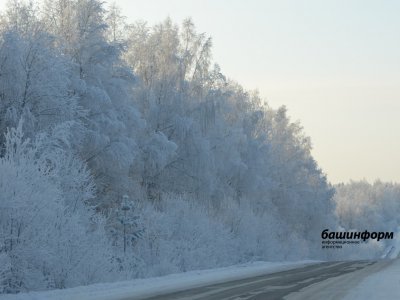 В Башкирии спасатели не дали замерзнуть в 30-градусный мороз путникам с ребенком