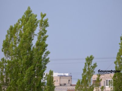 МЧС по Башкирии предупреждает об усилении ветра