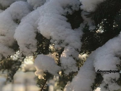 Морозы в Башкирии сменятся сильными снегопадами