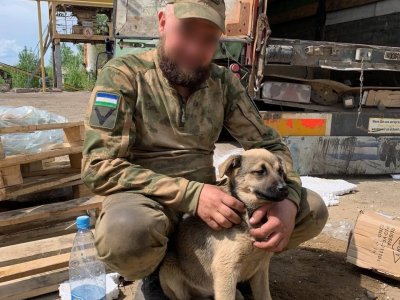 Воины башкирского батальона имени Шаймуратова приютили пса «Чубайса»