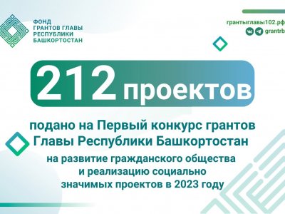 НКО Башкирии запросили 92 млн рублей для своих социальных проектов