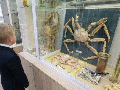 В Башкирии вступил в силу закон, регулирующий создание зоологических коллекций