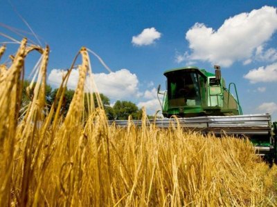 Аграрии Башкирии собрали 2,5 миллиона тонн зерновых
