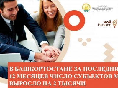В Башкирии количество субъектов МСП выросло на 1,6%