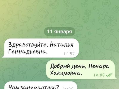 В Башкирии мошенники создали фейковый аккаунт главы минтруда