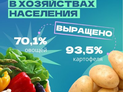 В Башкирии названы основные производители овощей и картофеля