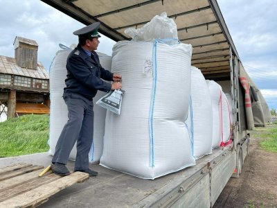 С начала 2023 года объем экспорта зерновых культур в Башкирии увеличился в два раза