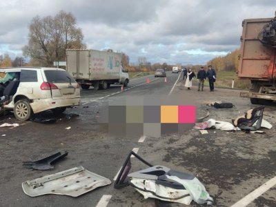 В Башкирии в ДТП с грузовиком погибла пассажирка Nissan Elgrand