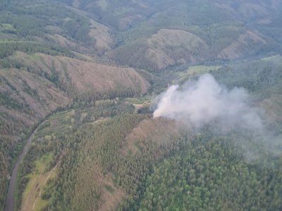 С помощью авиамониторинга в Башкирии обнаружено 19 лесных пожаров