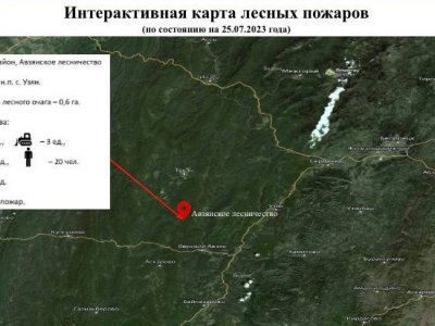 На территории Башкирии действует один лесной пожар