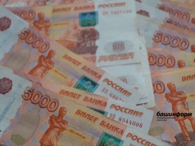 Жители Башкирии за сутки 27 раз попались на уловки мошенников и лишились денег