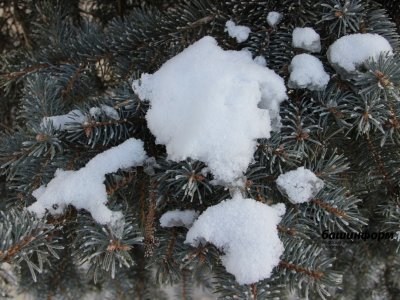 МЧС по Башкирии предупреждает о мокром снеге, гололеде и сильном ветре