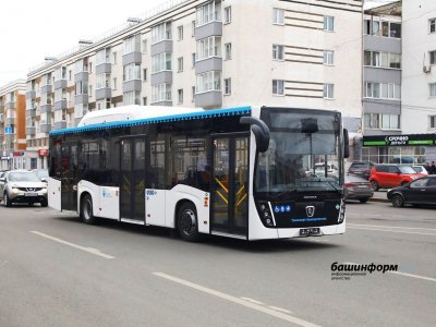 В этом году в Уфе появится 8 новых автобусных маршрутов