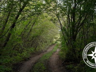 В Башкирии во время «тихой охоты» пропали грибники