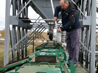 Экспорт зерна из Башкирии вырос в 2,6 раза