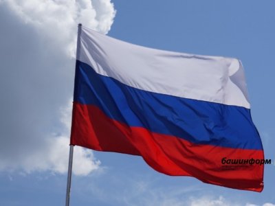 Социологи узнали, как жители страны планируют отметить  День России
