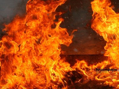 Беспомощную жительницу Башкирии зарезали в собственном доме и сожгли