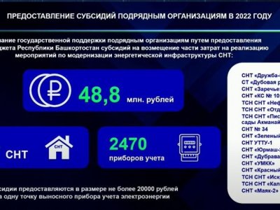 100 млн рублей будет направлено на установку выносных электросчетчиков СНТ в Башкирии в 2023 году