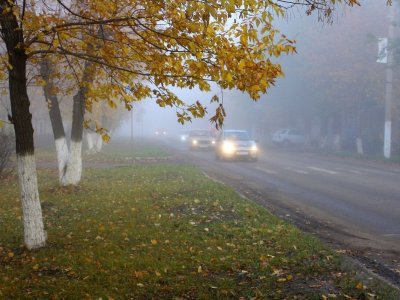 В Башкирии на дорогах утром ожидается туман