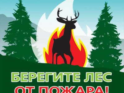 С начала сезона лесные пожары прошли 1,2 тысячи гектаров лесов Башкирии