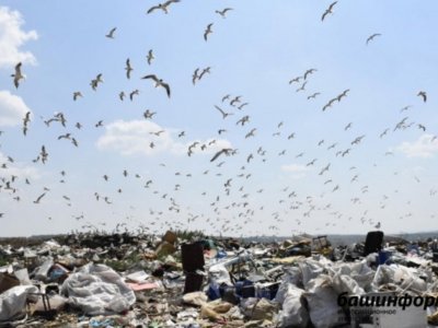 В ряде городов и районов Башкирии отменен режим ЧС, введенный ранее из-за вывоза мусора