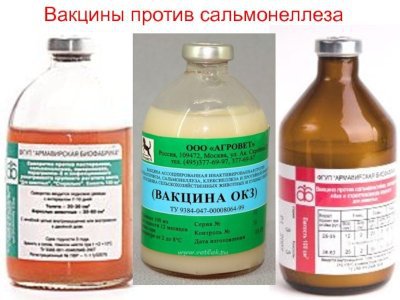 В Башкирии изъяли из оборота вакцину против сальмонеллеза свиней