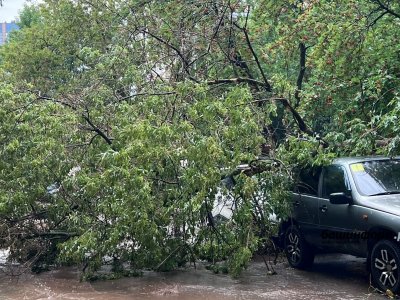 В УГЗ Уфы сообщили, какой урон нанес городу грозовой фронт