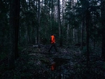 В Башкирии грибник заблудился в лесу к ночи