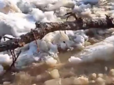 В Башкирии на реке Лемеза начался ледоход
