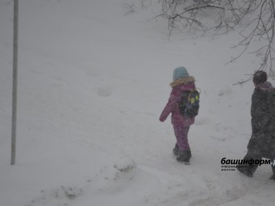 Сильный ветер, метель, снежные заносы: в Башкирии ухудшаются погодные условия