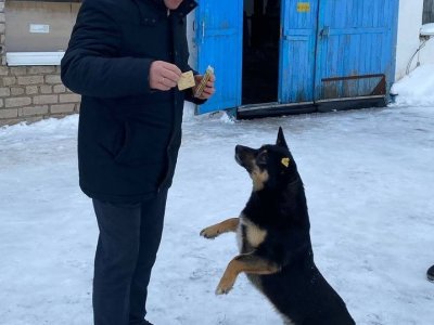 На аэрологической станции Уфа-Дема пес Барбос стал настоящим другом синоптиков