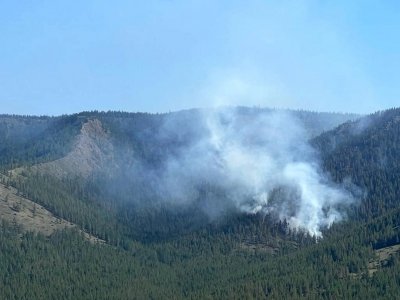 Лесной пожар в Белорецком районе Башкирии распространился на площади в 60 га