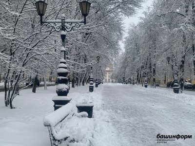 В Башкирии потеплеет до -5 градусов, но сохранится вероятность снега и метели