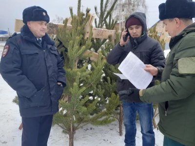 В Башкирии в ходе операции «Ель» выявили 20 случаев незаконной вырубки деревьев