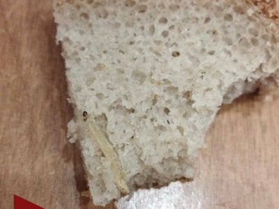 Житель Башкирии едва не съел червяка в хлебе