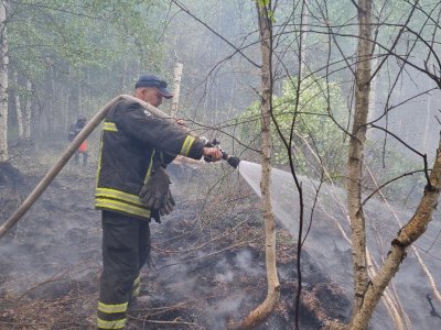 В Башкирии ликвидирован крупный лесной пожар, который тушили несколько дней