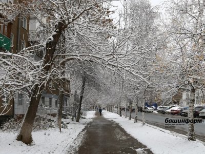 Госжилстройнадзор Башкирии рассказал, с какой периодичностью должны убирать снег